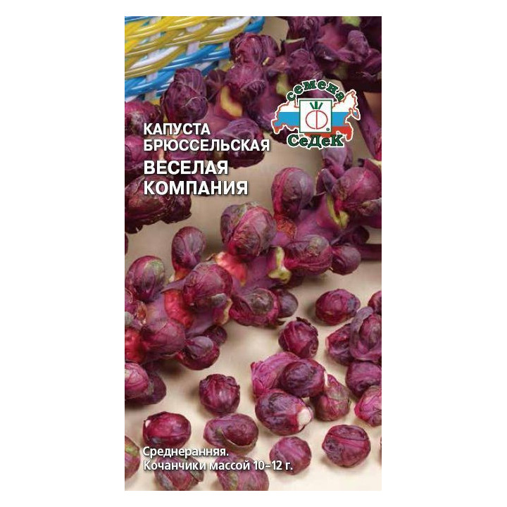 ВЕСЕЛАЯ КОМПАНИЯ