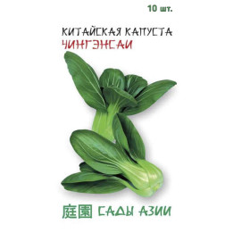 ЧИНГЭНСАИ