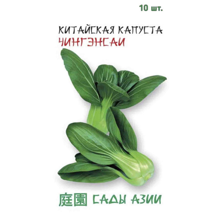ЧИНГЭНСАИ