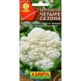 ЧЕТЫРЕ СЕЗОНА