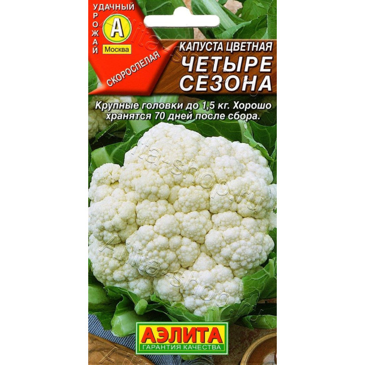 ЧЕТЫРЕ СЕЗОНА
