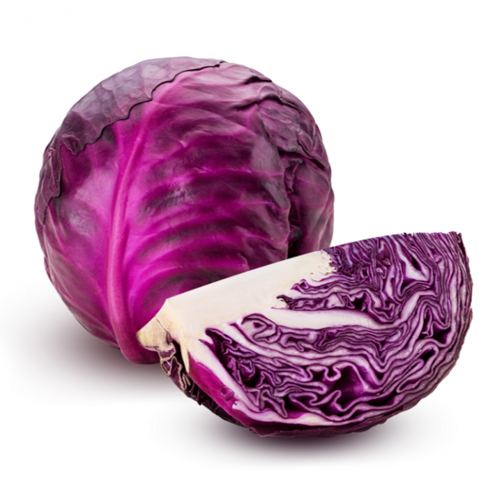 ГОЛУБА