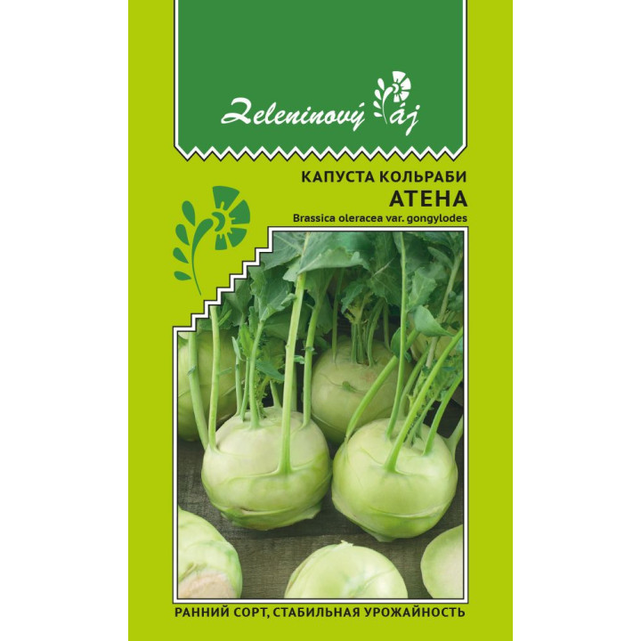 АТЕНА