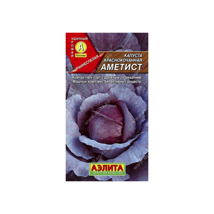 АМЕТИСТ