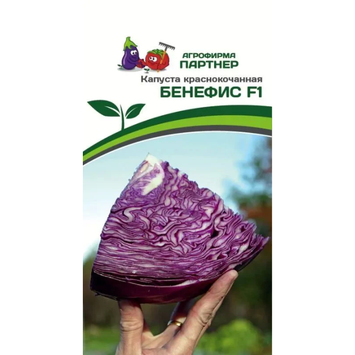БЕНЕФИС