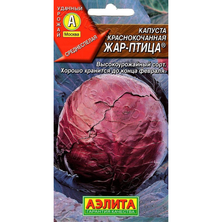 ЖАР-ПТИЦА