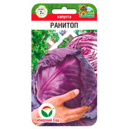 РАНИТОП