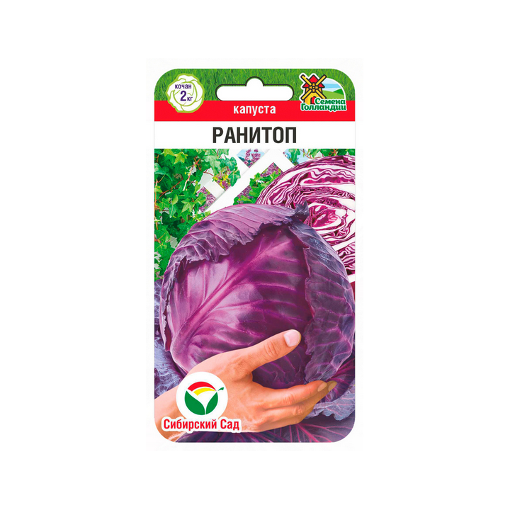 РАНИТОП