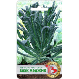 БЛЭК МЭДЖИК