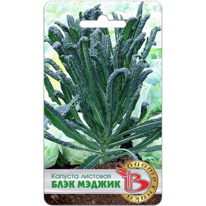 БЛЭК МЭДЖИК