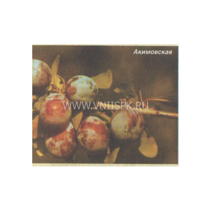 Акимовская