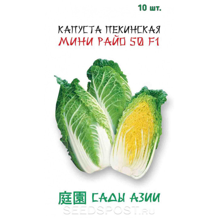 МИНИ РАЙО 50