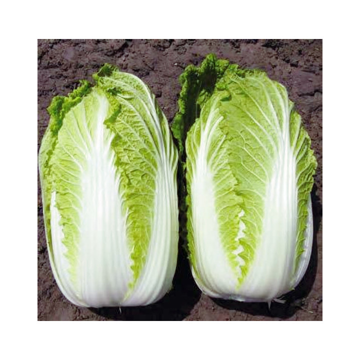КИСЕКИ