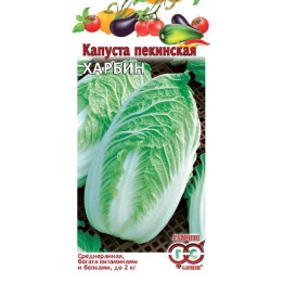 ХАРБИН