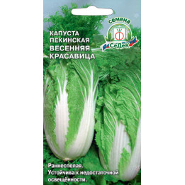 ВЕСЕННЯЯ КРАСАВИЦА