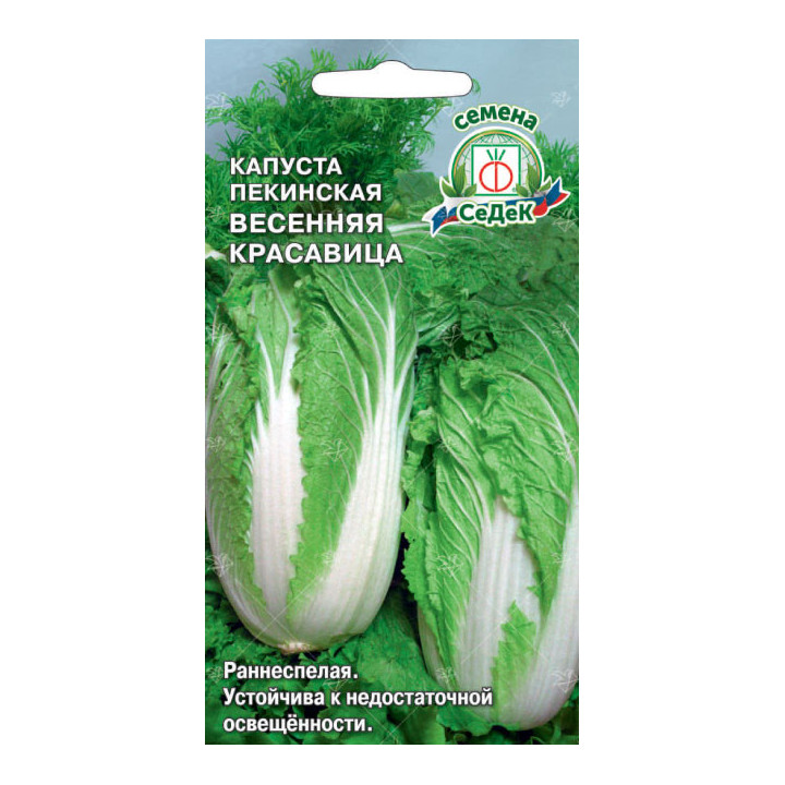 ВЕСЕННЯЯ КРАСАВИЦА