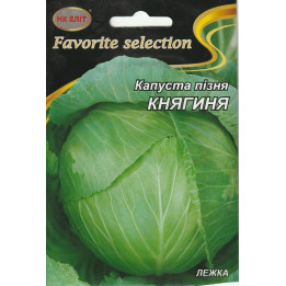 КНЯЖНА