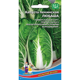 ЛЮБАША