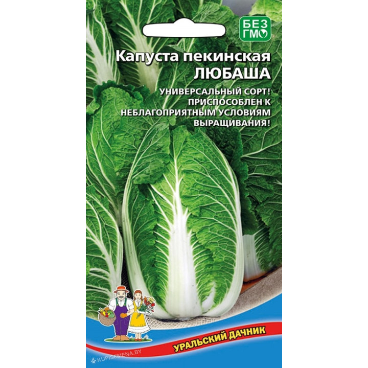 ЛЮБАША