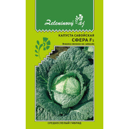 СФЕРА