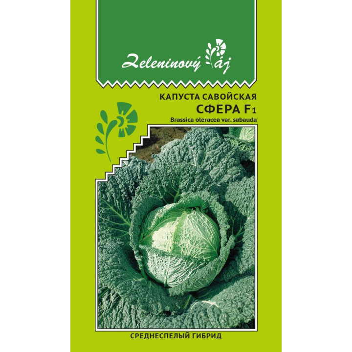 СФЕРА