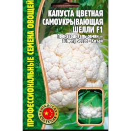 ШЕЛЛИ