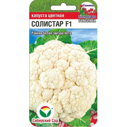 СОЛИСТАР