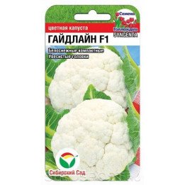 ГАЙДЛАЙН