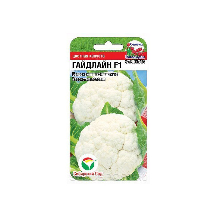 ГАЙДЛАЙН