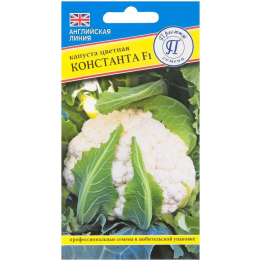 КОНСТАНТА
