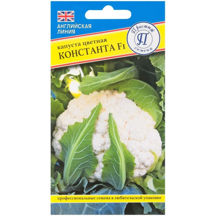 КОНСТАНТА