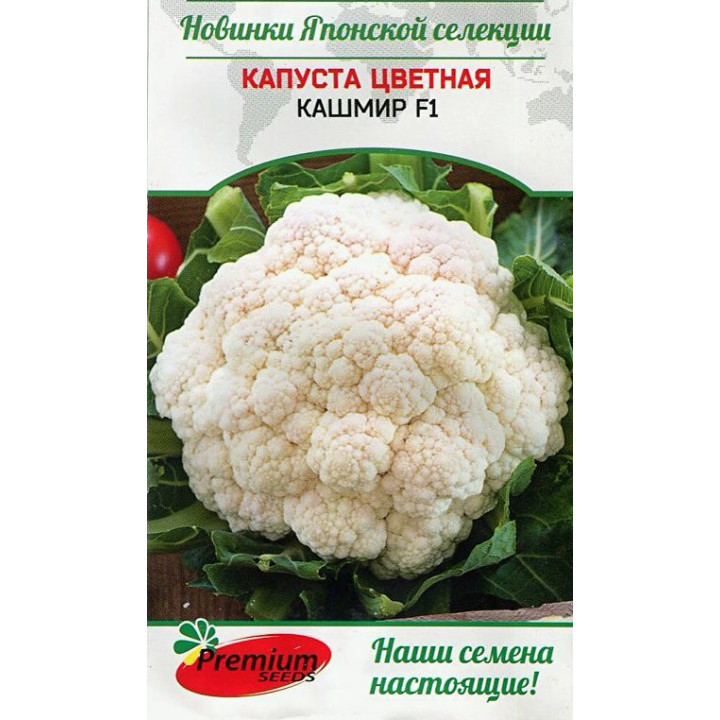 КАШМИР