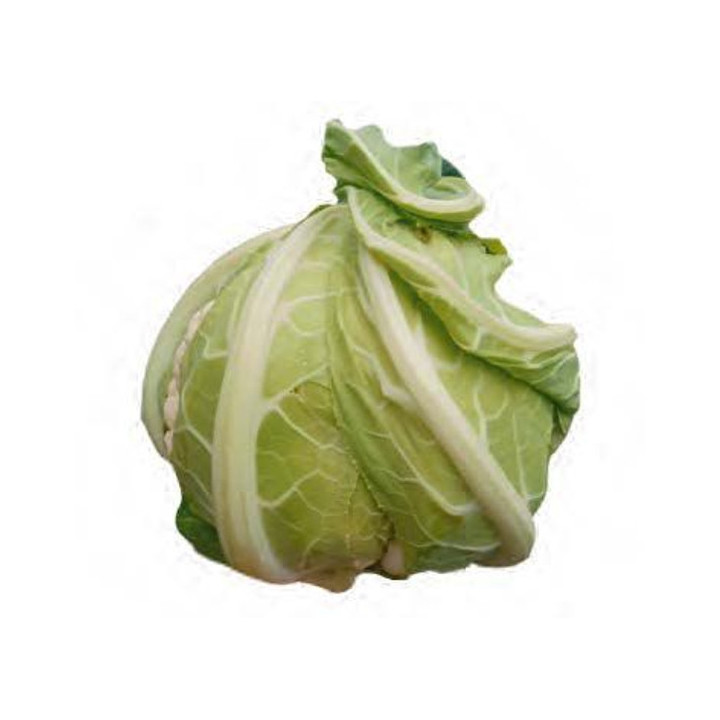 КАРНАК