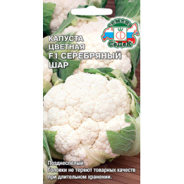 СЕРЕБРЯНЫЙ ШАР