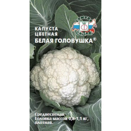 БЕЛАЯ ГОЛОВУШКА