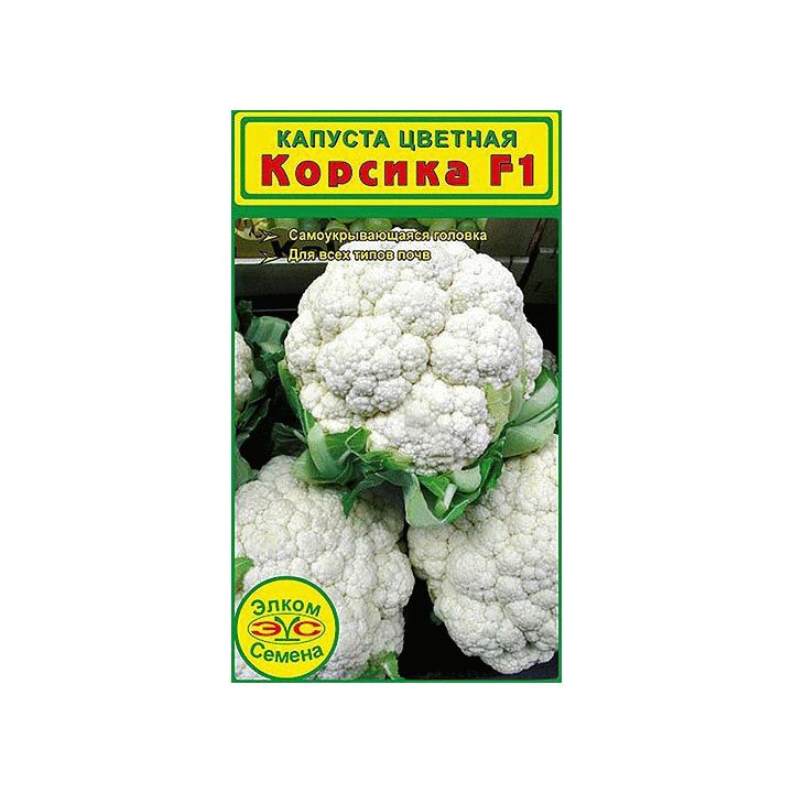 КОРСИКА