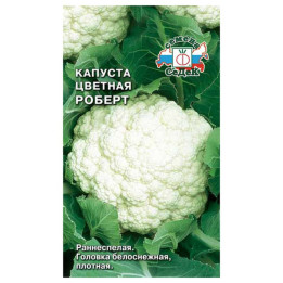 РОБЕРТ