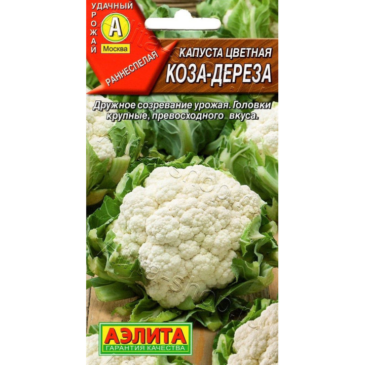 КОЗА-ДЕРЕЗА
