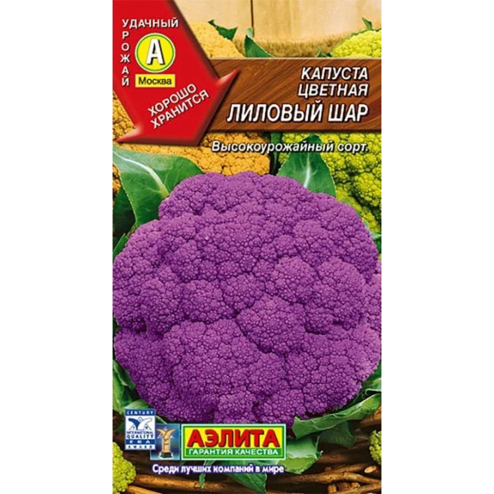 ЛИЛОВЫЙ ШАР