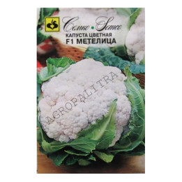 МЕТЕЛИЦА