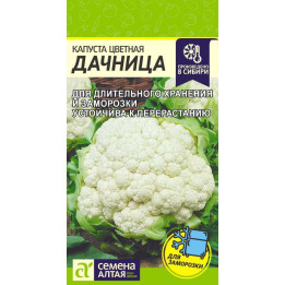 ДАЧНИЦА