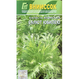 САЛЮТ ЮБИЛЕЮ
