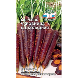 ЧАРОВНИЦА ШОКОЛАДНАЯ