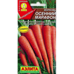 ОСЕННИЙ МАРАФОН