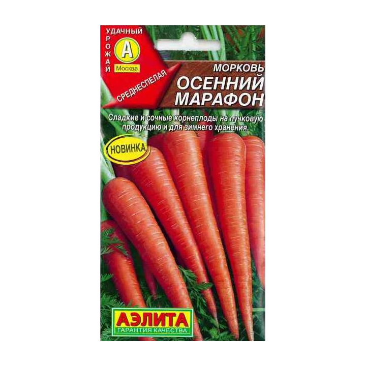 ОСЕННИЙ МАРАФОН