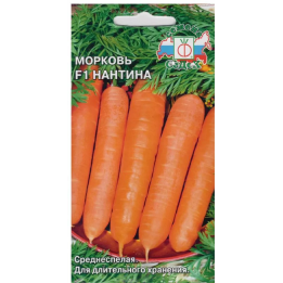 НАНТИНА