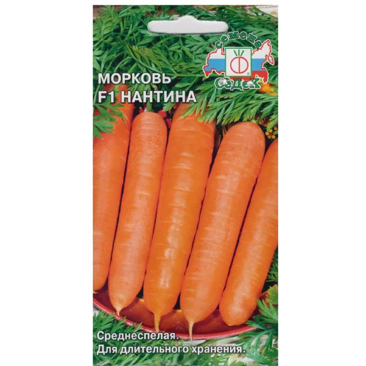 НАНТИНА