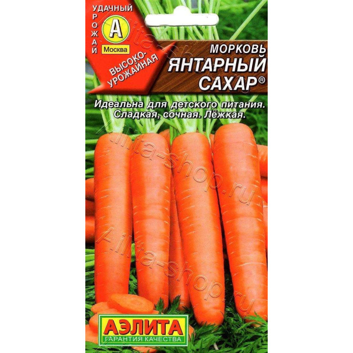 ЯНТАРЬ