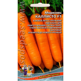 КАЛЛИСТО