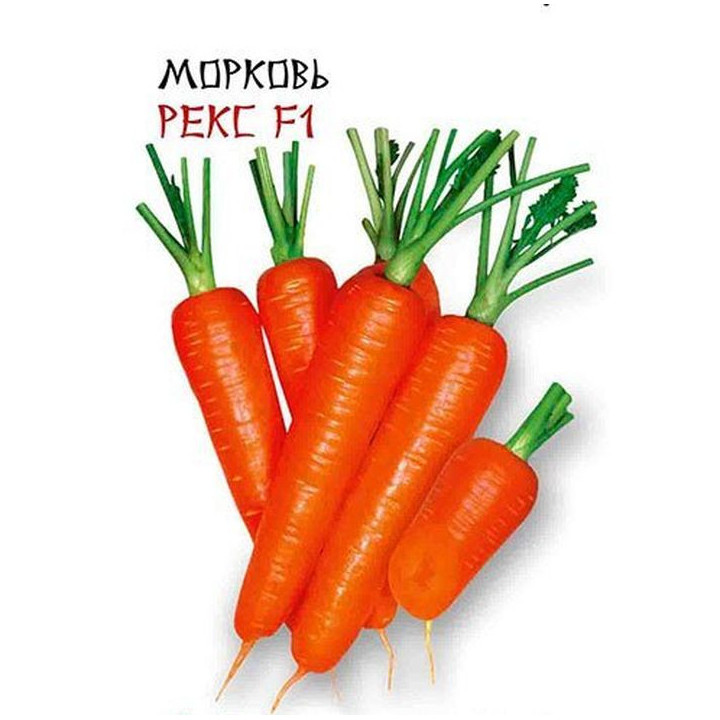 РЕКС